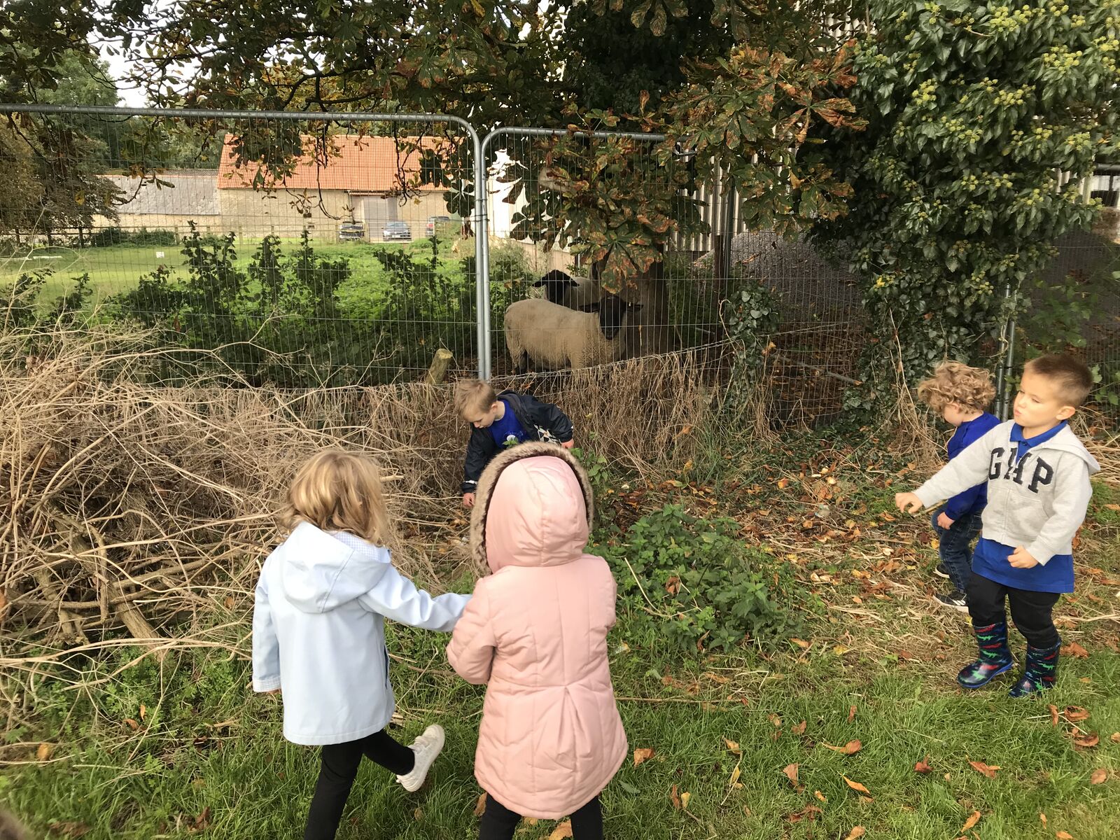Children exploring a hedgerow beside the field