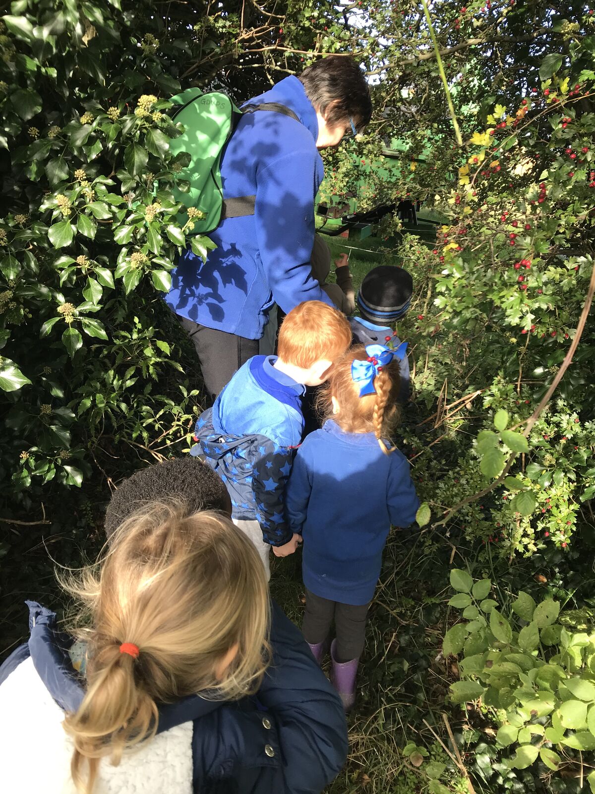 Children and a staff member looking closely at ivy and leaves