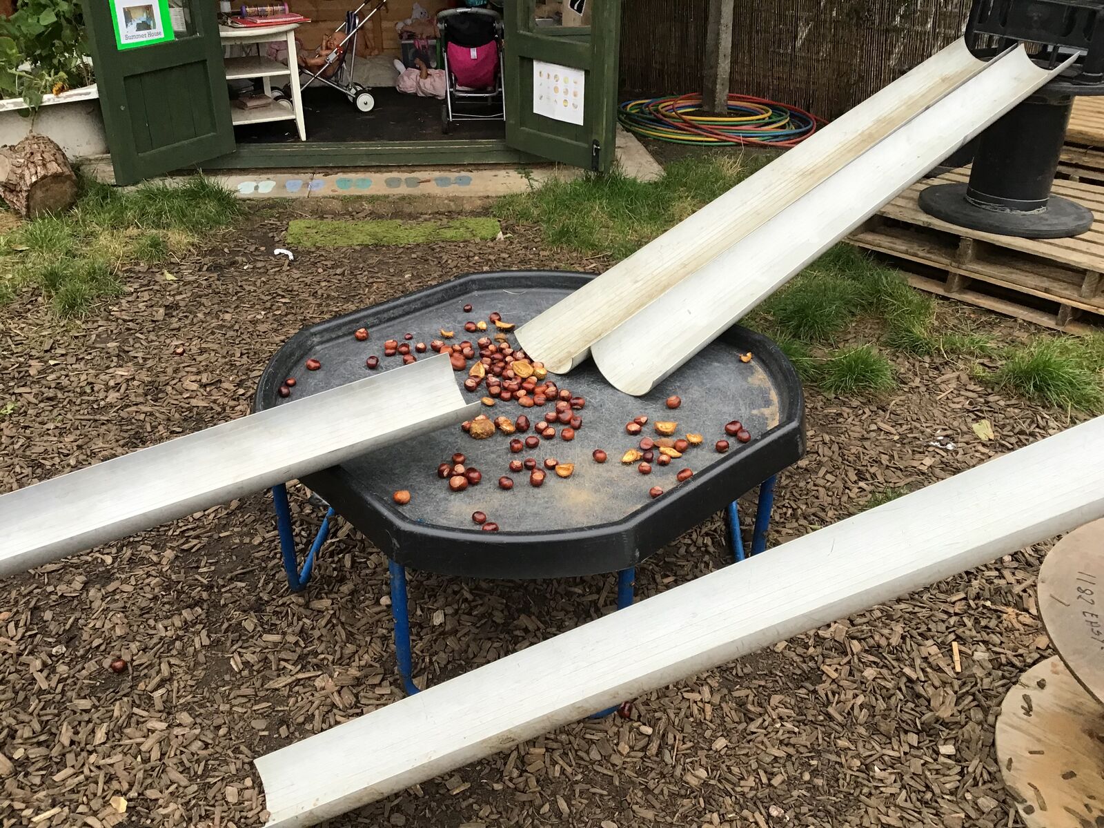 Lengths of guttering set up outdoors, rolling conkers into a tray
