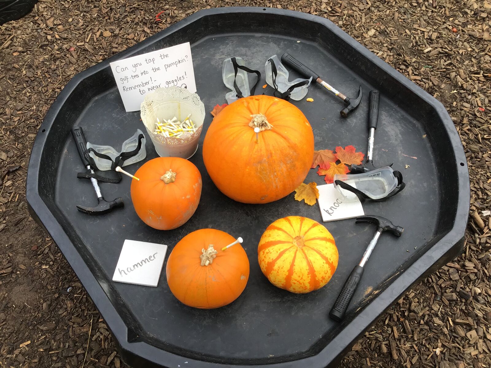 Pumpkins, tools and autumn leaves arranged on a tuff tray