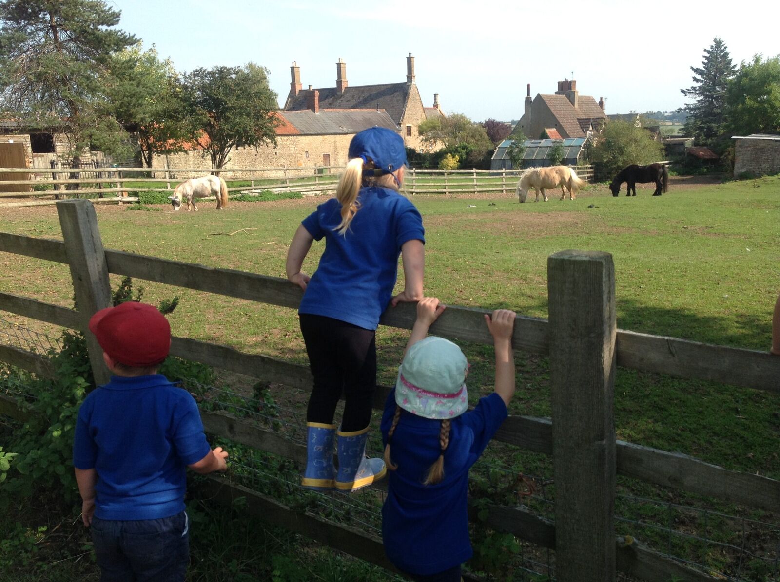 Children and a member of staff at a fence watching horses in the field beyond
